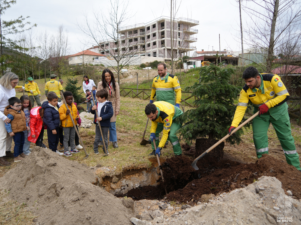 Dia Mundial da Árvore