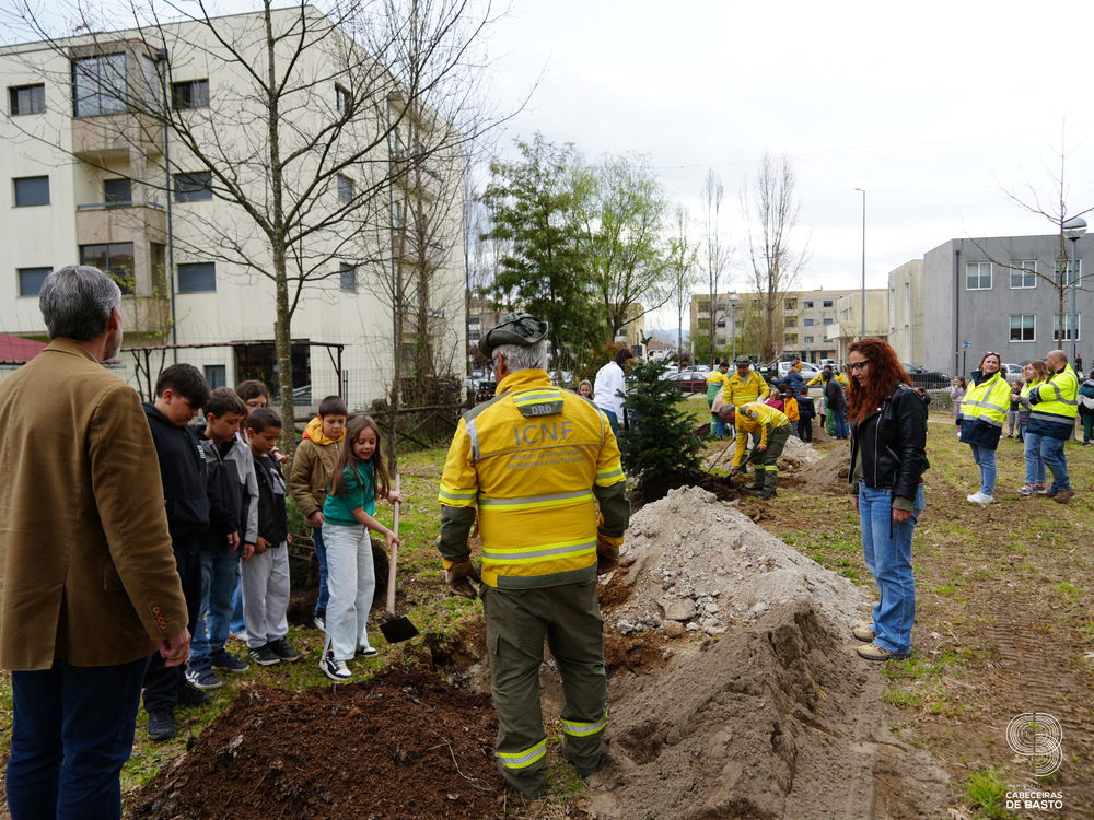 Dia Mundial da Árvore