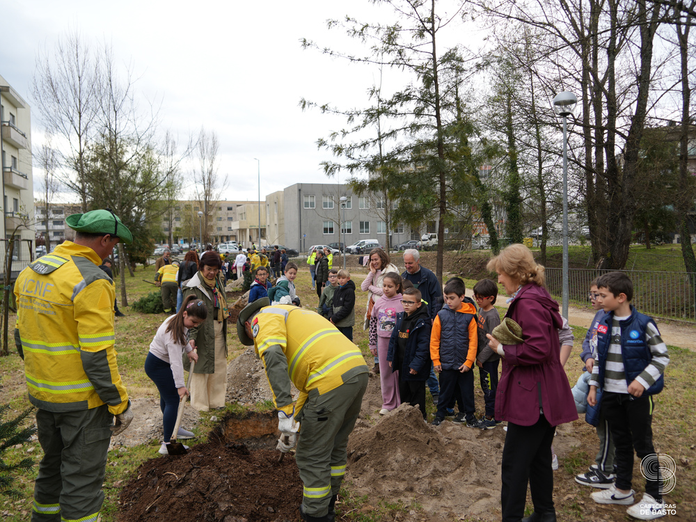 Dia Mundial da Árvore