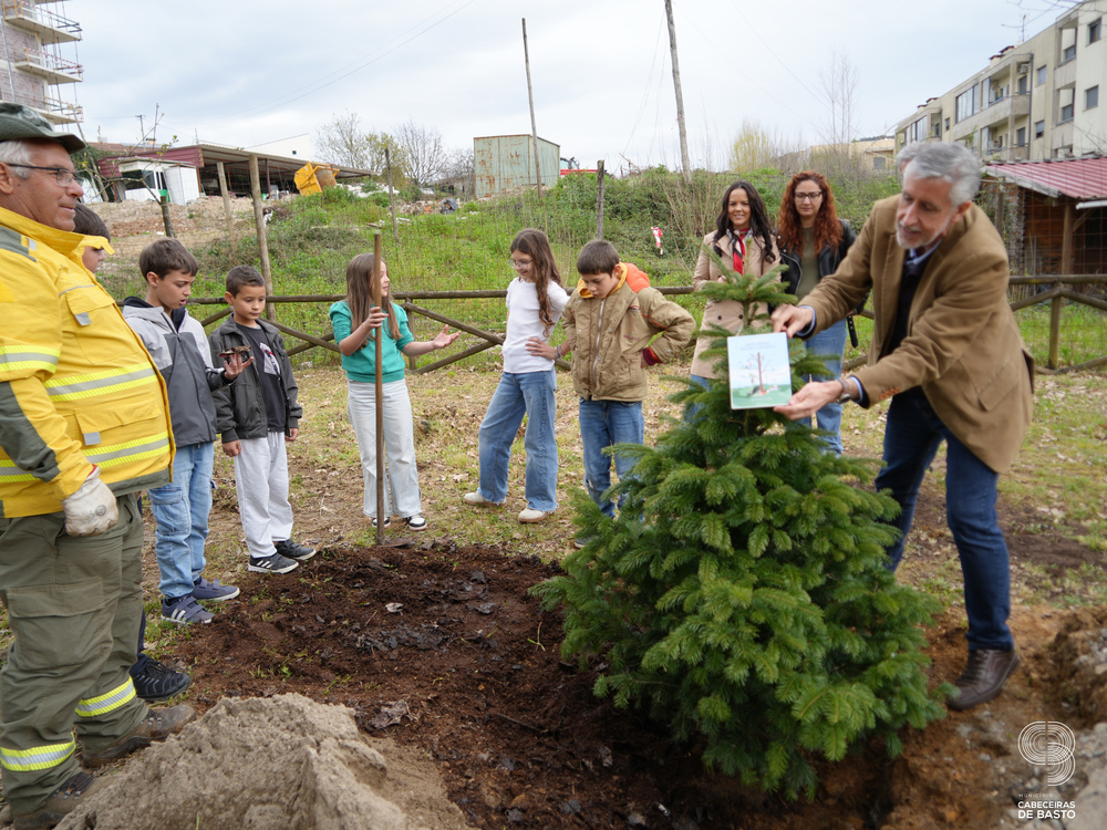Dia Mundial da Árvore