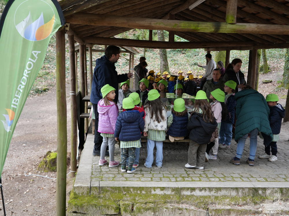 Dia Mundial da Árvore