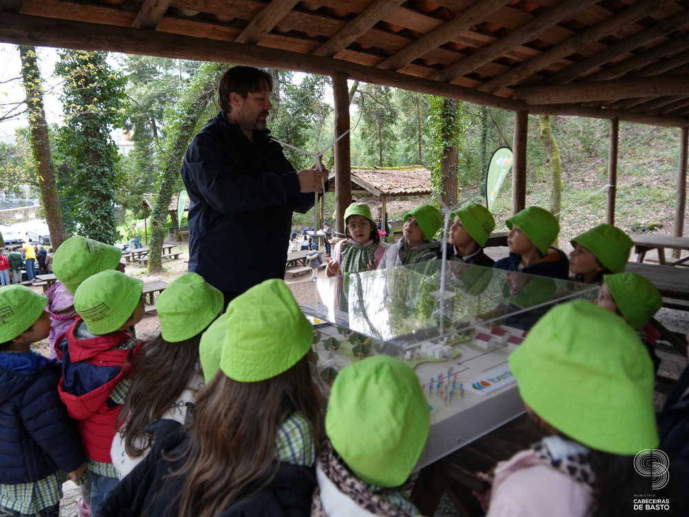 Dia Mundial da Árvore