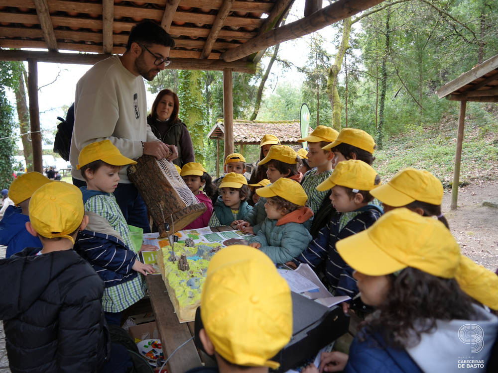 Dia Mundial da Árvore