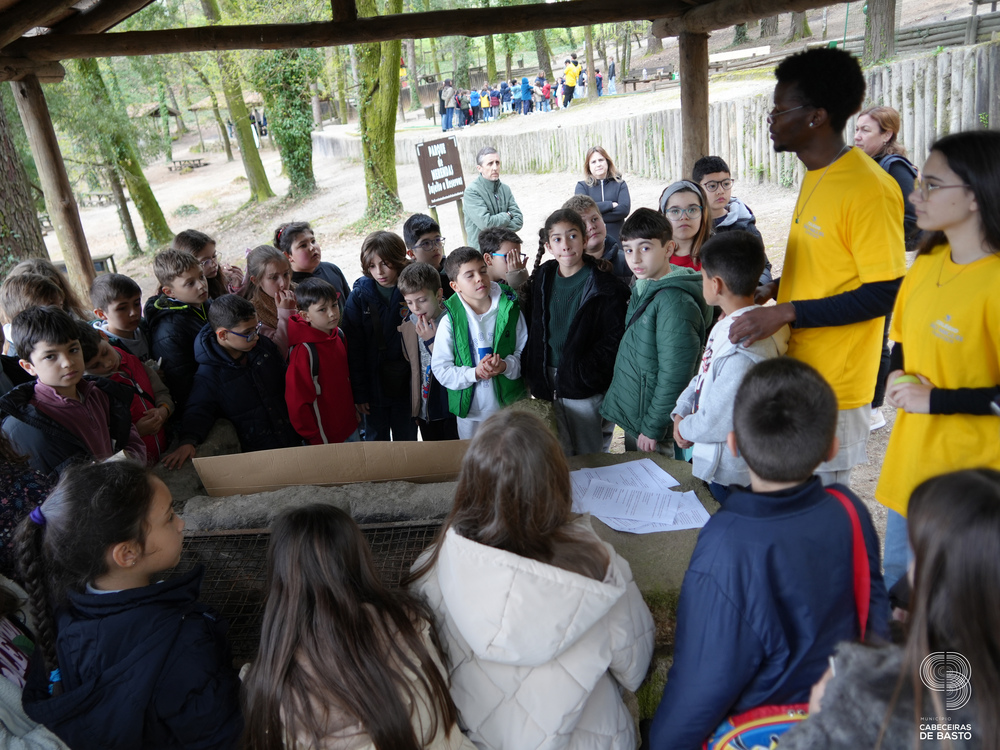 Dia Mundial da Árvore