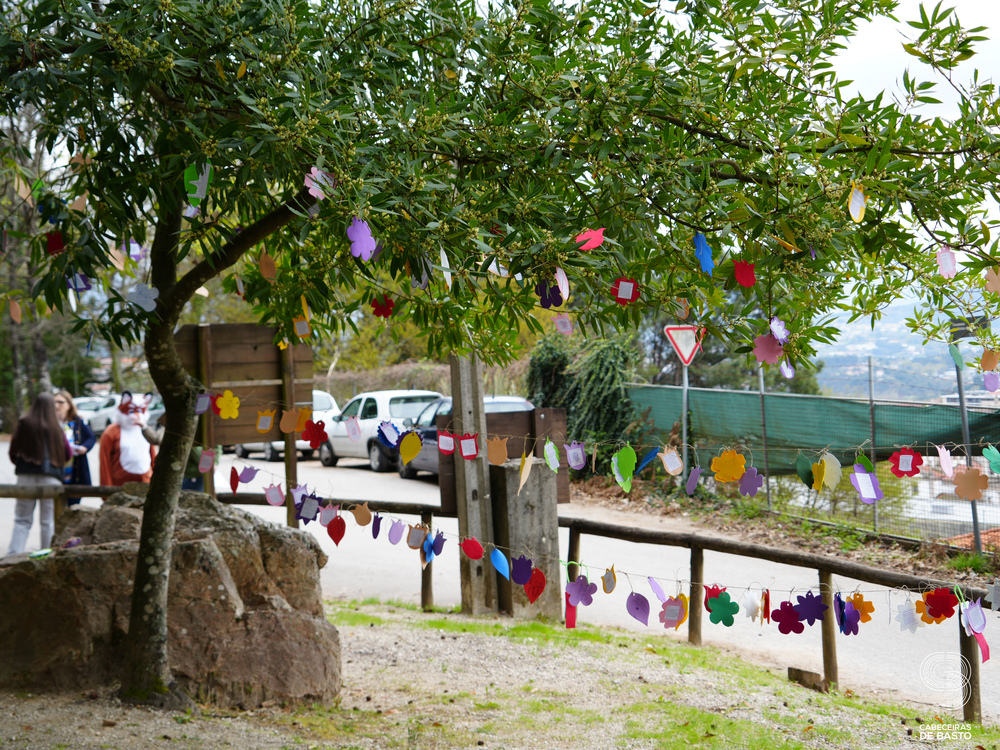 Dia Mundial da Árvore