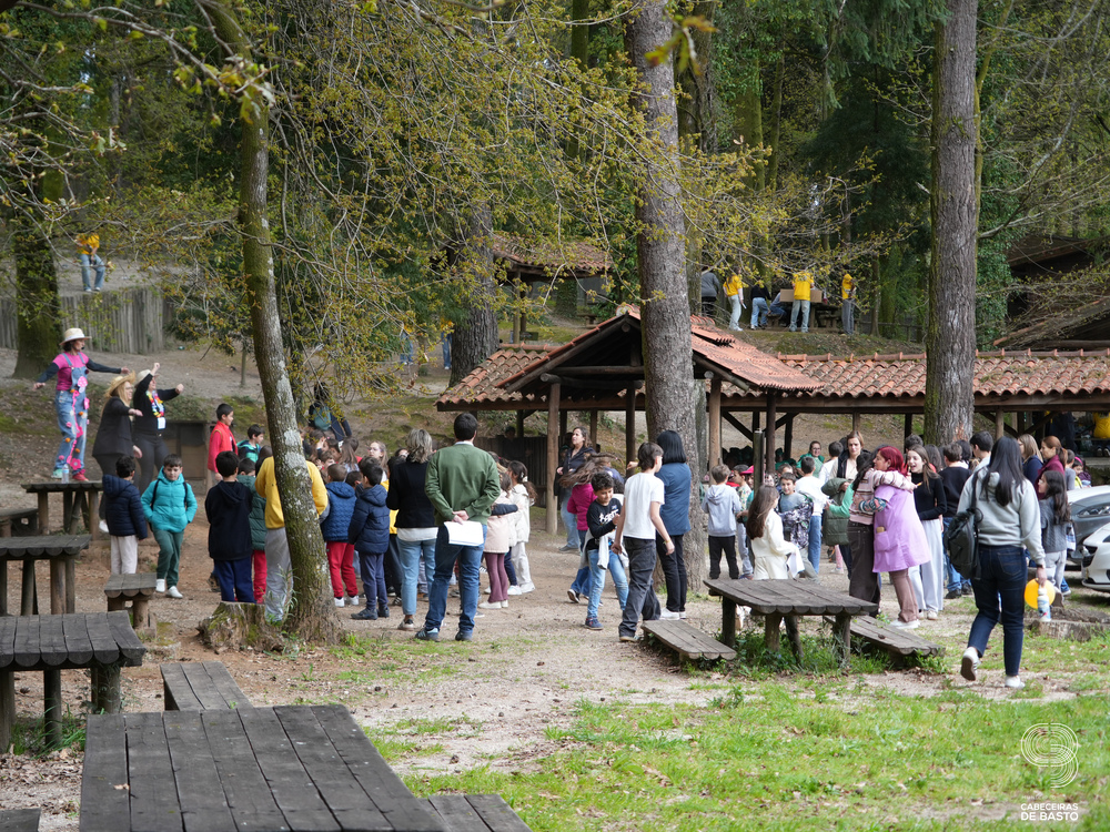 Dia Mundial da Árvore