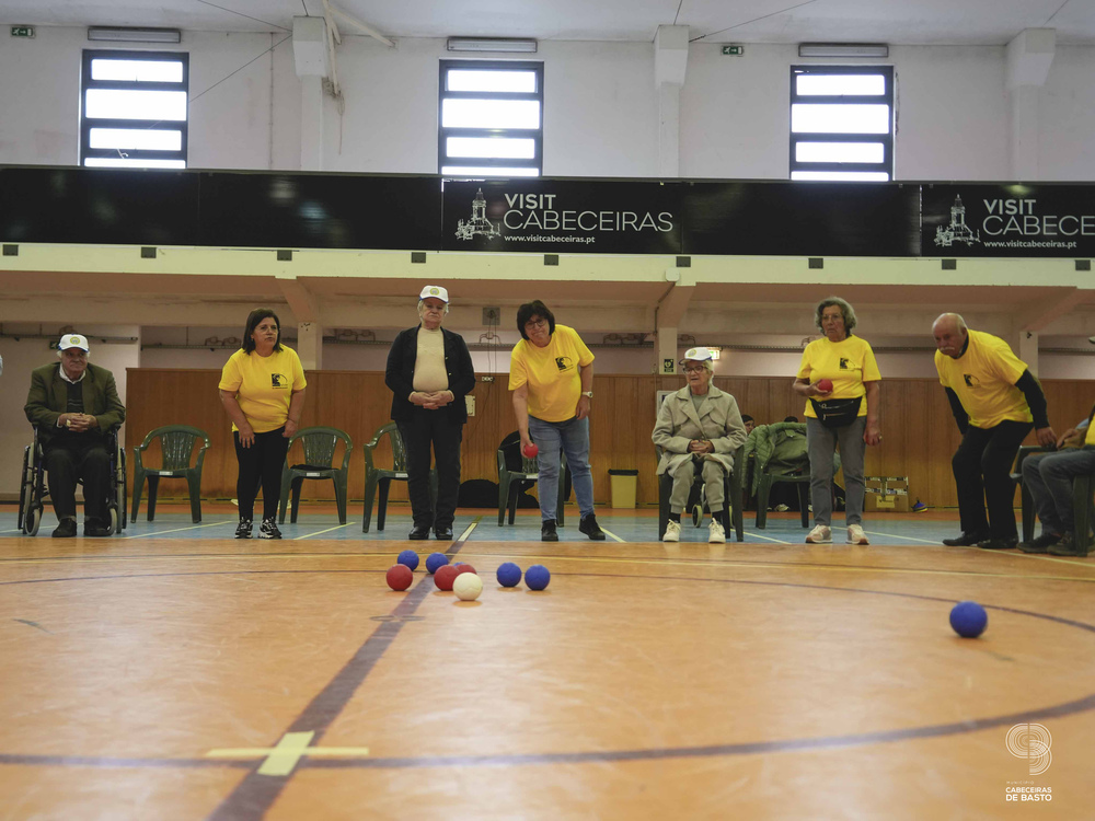 Leia mais sobre Dia da Atividade Física junta 300 seniores