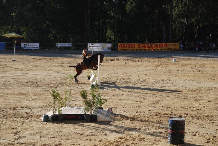 Leia mais sobre Feira do Cavalo encerra com saldo positivo