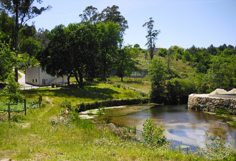 praia fluvial de bucos (4).jpg