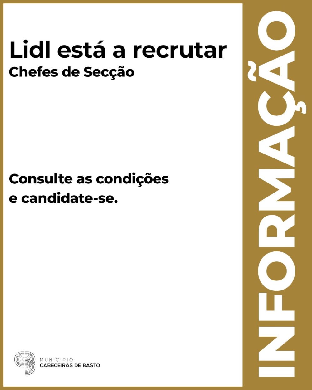 Lidl encontra-se a recrutar Chefes de Secção para a nova loja de Cabeceiras de Basto