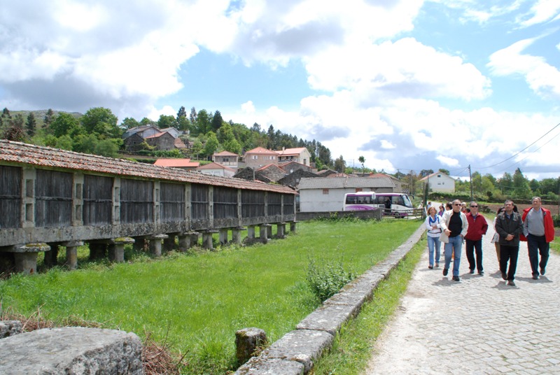 Leia mais sobre Museu das Terras de Basto promove Memórias do Território