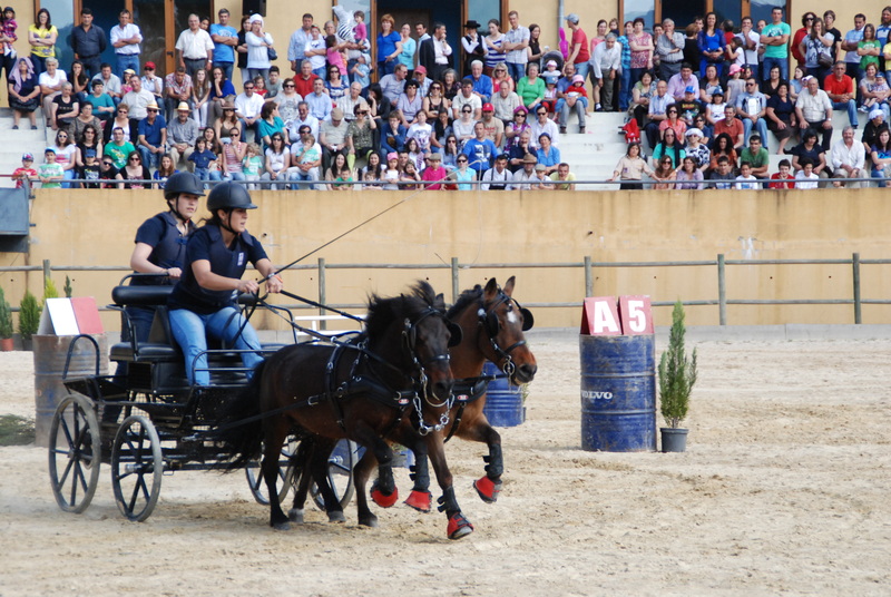 Leia mais sobre Cabeceiras de Basto prepara IV Feira do Cavalo