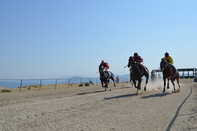 Leia mais sobre Campeonato Nacional de Galope e Trote 2013 disputou-se no Hipódromo Municipal