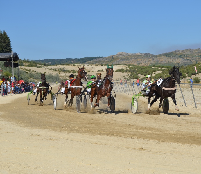 Leia mais sobre Campeonato Nacional disputado  no Hipódromo Municipal de Cabeceiras de Basto