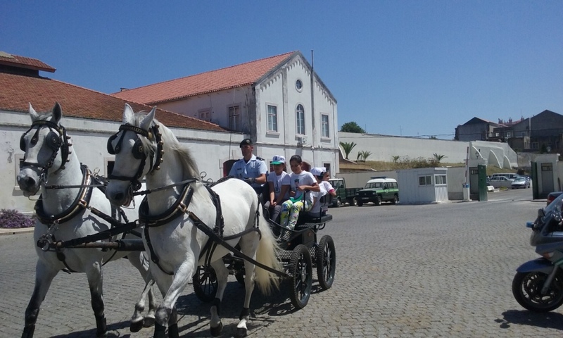 Dia da Criança