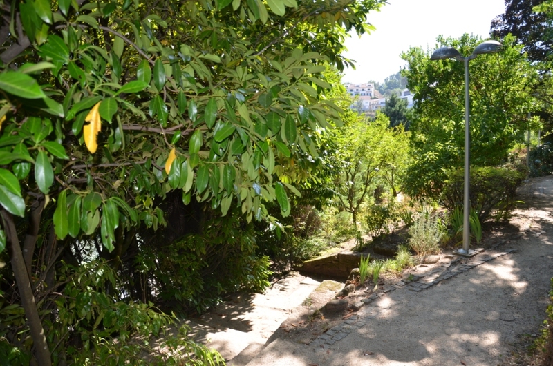 Parque Florestal de Cabeceiras de Basto
