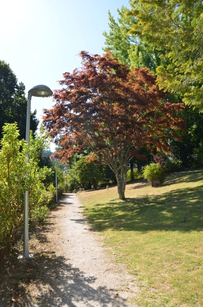 Parque Florestal de Cabeceiras de Basto
