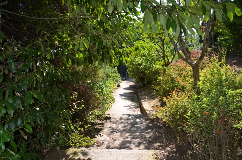 Parque Florestal de Cabeceiras de Basto