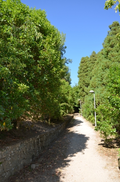 Parque Florestal de Cabeceiras de Basto