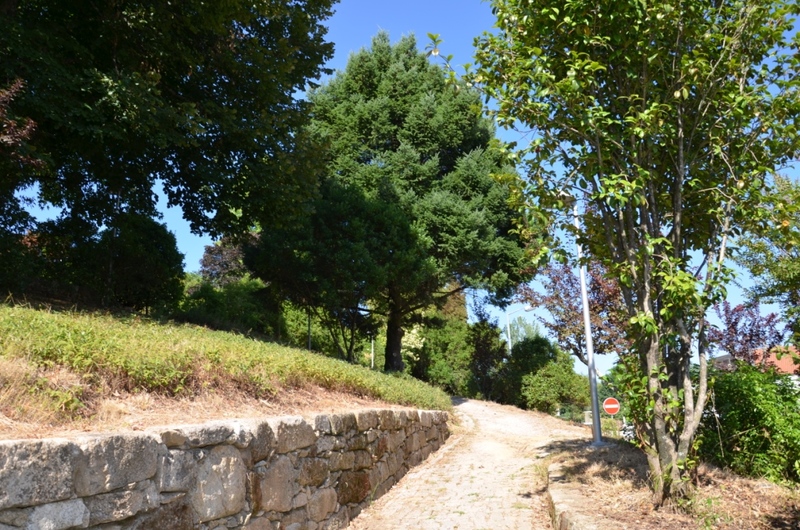 Parque Florestal de Cabeceiras de Basto