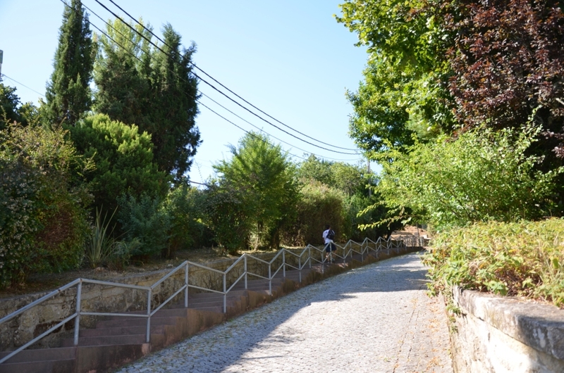 Parque Florestal de Cabeceiras de Basto